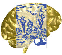 AIC_Brain